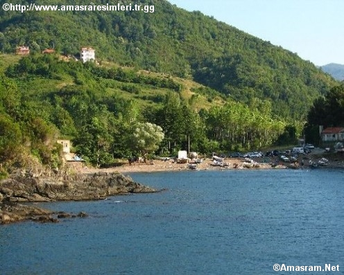 akkonak koyu 01009