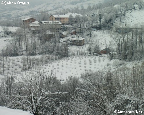 canakcilar koyu 11733